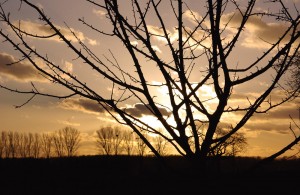 Landschaft in Gegenlicht