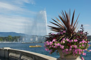 Genfersee mit dem Blick auf der Fontaine
