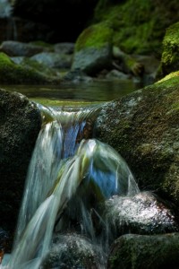 Wasserfall in Schwarzwald, fotografiert: Iryna Mathes