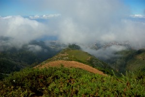 Madeira, Reisereportage Iryna Mathes