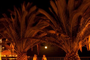 Madeira, Reisereportage Iryna Mathes
