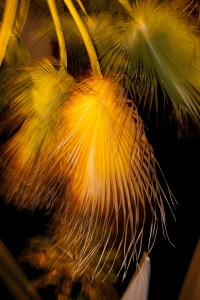 Madeira, Reisereportage Iryna Mathes