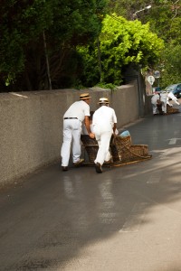 Madeira, Reisereportage Iryna Mathes