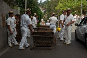 Madeira, Reisereportage Iryna Mathes