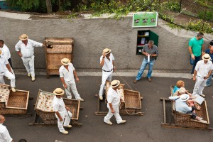 Madeira, Reisereportage Iryna Mathes