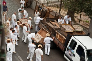Madeira, Reisereportage Iryna Mathes