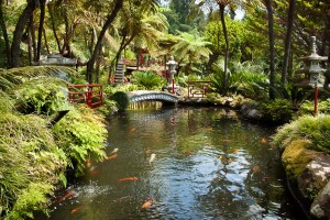 Madeira, Reisereportage Iryna Mathes