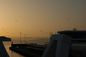 Madeira, Reisereportage Iryna Mathes