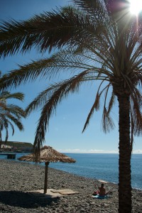Madeira, Reisereportage Iryna Mathes