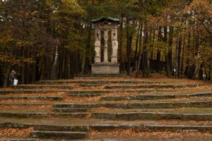Fotografie Iryna Mathes. Natur