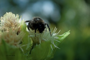 Travel photo Iryna Mathes, Ukraine