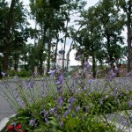 near the Theophania Park, Kiew
