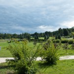 In the Theophania Park, Kiev