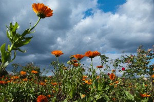 Travel photo Iryna Mathes, Ukraine
