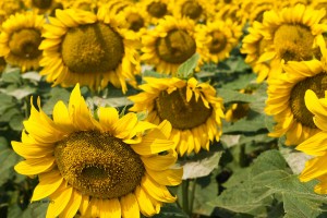 Travel photo Iryna Mathes, Ukraine