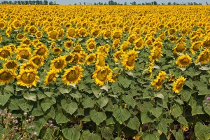 Travel photo Iryna Mathes, Ukraine