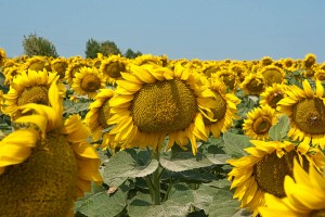 Travel photo Iryna Mathes, Ukraine