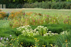 Travel photo Iryna Mathes, Ukraine