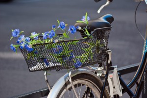 Genf, Schweiz im September 2011. Fotografie Iryna Mathes