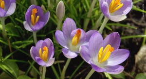 Natur Fotografie, Iryna Mathes