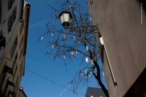 Klingelte Baum, Luxemburg