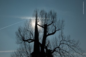 Ausflug nach Luxemburg, Fotografie Iryna Mathes