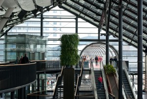 Im Bremerhaven, Fotogrfaiert von Iryna Mathes