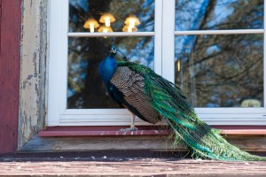 Karlsbad, Tschechien. Fotografie Iryna Mathes
