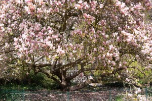 Karlsbad, Tschechien, Im Park