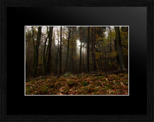 Kunst, Iryna Mathes. Fotografie