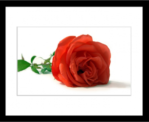 Kunst, Iryna Mathes. Fotografie