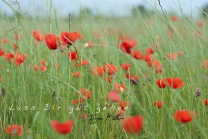 Frühling, Foto Iryna Mathes