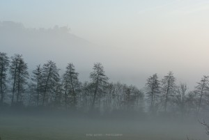 Nebel in Kliensapach