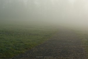 Herbst und Nebel, Foto Iryna Mathes