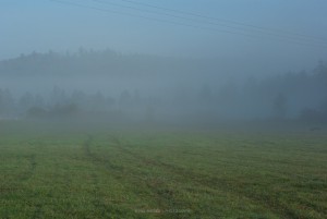 Herbst und Nebel, Foto Iryna Mathes