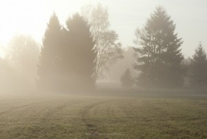Herbst und Nebel, Foto Iryna Mathes