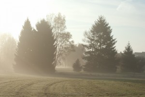 Herbst und Nebel, Foto Iryna Mathes