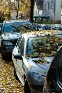 Herbst in Stadt