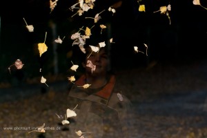 Herbst, Blätter, Spiel