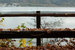 Am Bodensee