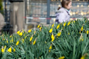 Karslbad, Karlovy Vary, travel photography Iryna Mathes