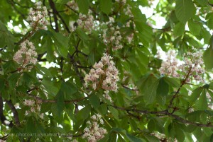 Kiew, Ukraine, Reisefotografie Iryna Mathes