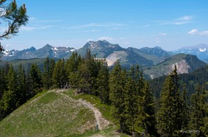 Alpen im Juni, Reisefotografie Iryna Mathes