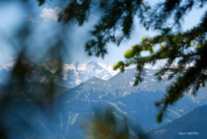 Alpen im Juni, Reisefotografie Iryna Mathes