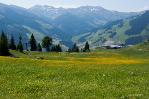 Alpen im Juni, Reisefotografie Iryna Mathes