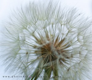 Iryna Mathes Fotografie