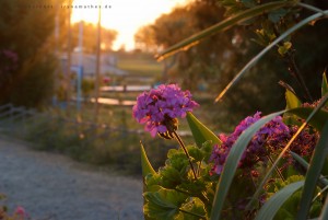 Am Abend. Kos, Griechenland Reisefotografie Iryna Mathes