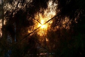 Beim Sonnenuntergang. Kos, Griechenland. Reisefotografie Iryna Mathes