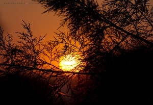 Beim Sonnenuntergang. Kos, Griechenland. Reisefotografie Iryna Mathes