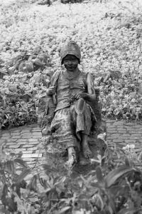 Naturfotografie. Iryna Mathes